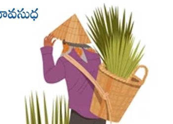 జర్మన్ కథ : ఎలుకలు కూడా రాత్రిళ్లు నిద్రిస్తాయి