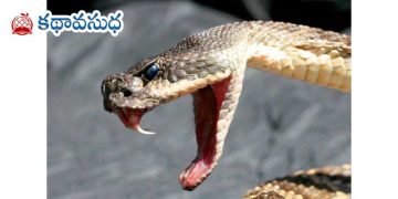 ఇంగ్లాండ్ కథ : విషవలయం