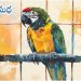 గుజరాతీ కథ: కాకాజీ నీతికథ