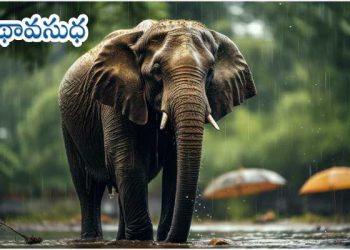 కన్నడ కథ : భీమ వచ్చింది