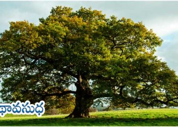 ఇంగ్లీషు కవిత:   “వృక్షం”