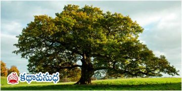 ఇంగ్లీషు కవిత:   “వృక్షం”