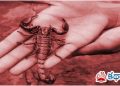 కాశ్మీరీ కథ: అపరిచితుడు