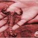 కాశ్మీరీ కథ: అపరిచితుడు